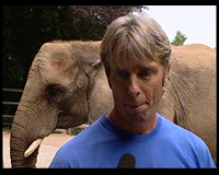 Wir haben einen O-Ton mit Elefantenpfleger Gustav Röckener.